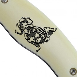 Fejesgörbe - Tacskó