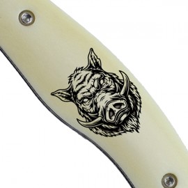 Fejesgörbe - Vaddisznó