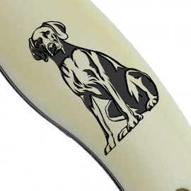 Fejesgörbe - Vizsla