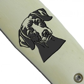 Maskara - Vizsla Maskara - Vizsla