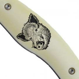 Fejesgörbe - Vaddisznó | Gitta Art